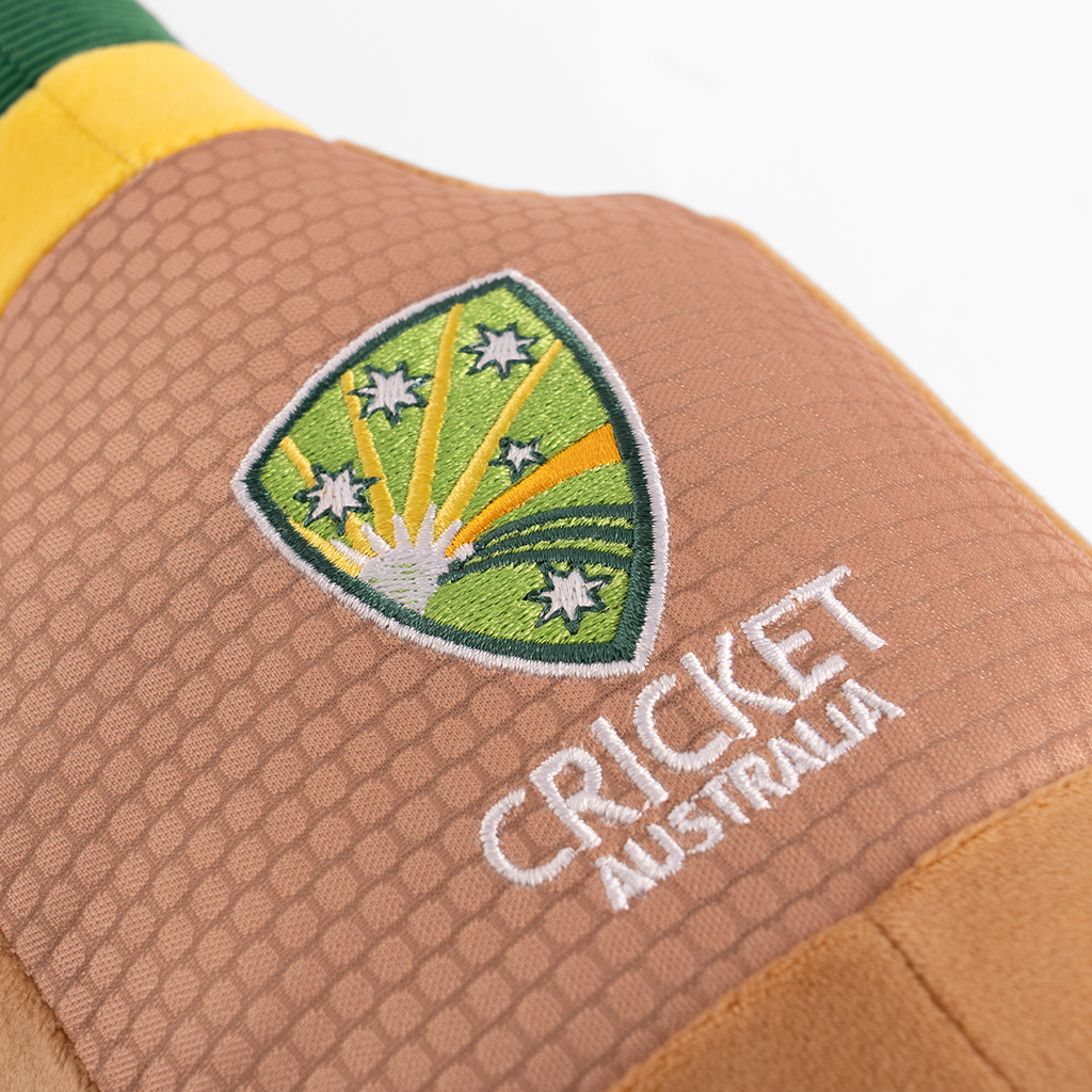 Willo The Cricket Bat